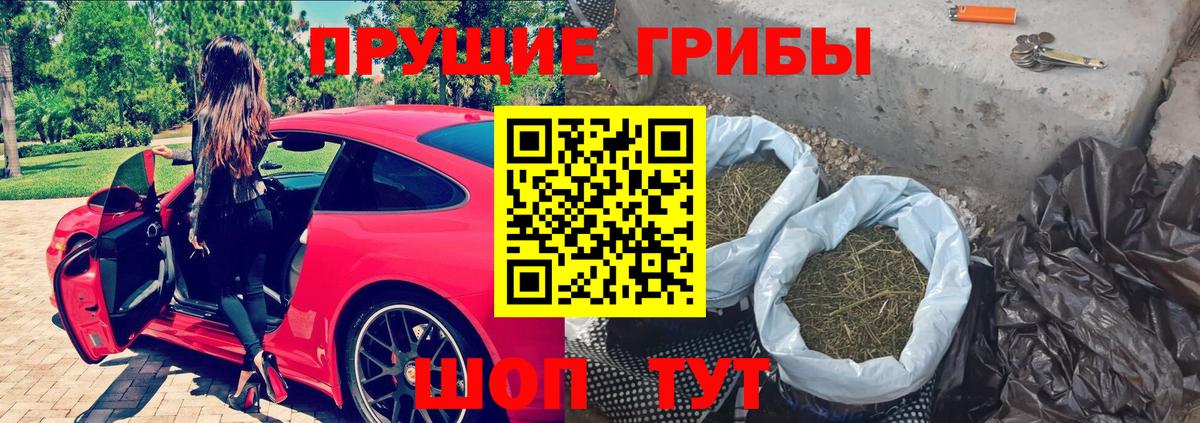 Ефремов  где продают   Вход с VPN  Псилоцибиновые грибы MAGIC MUSHROOMS 